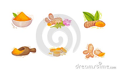 Turmeric Plant with Root and Powder Pile in Bowl Vector Set Vector Illustration
