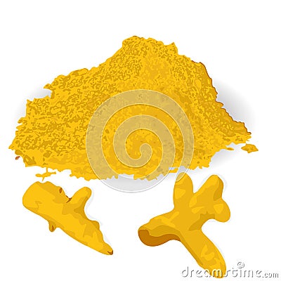 Turmeric roots and powder Vector Illustration