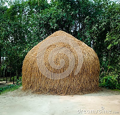 The turn of the straw. Another name is Bichuli Gada. Stock Photo