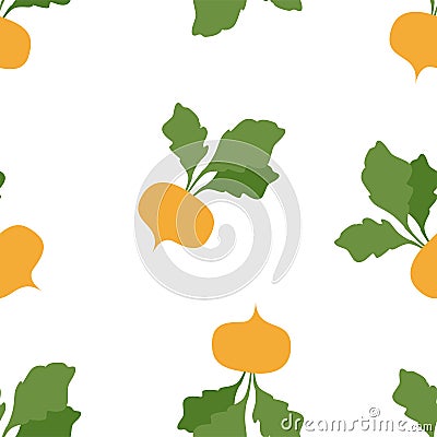 Turnip. Vegetables, healthy food. Vector Illustration