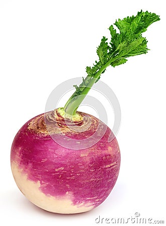 Turnip Stock Photo