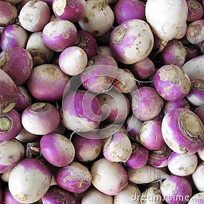 Turnips Stock Photo