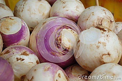 Turnips Stock Photo