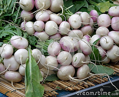 Turnips Stock Photo