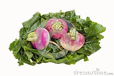 Turnips on a Bed of Greens Stock Photo