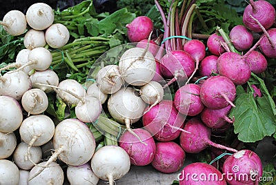 Turnips and beets. Stock Photo