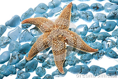 Turquoise beads & sea star Stock Photo