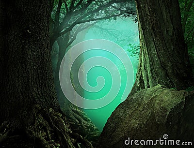 Mysterious fantasy forest landscape with light blue transparent haze on a background Stock Photo