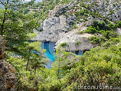 Turquoise blue water among pine trees and white rocks Stock Photo