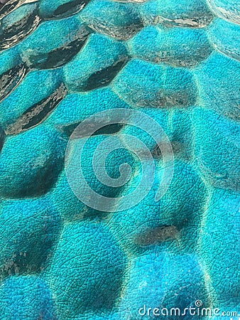 Turquoise Ceramic Textures Stock Photo