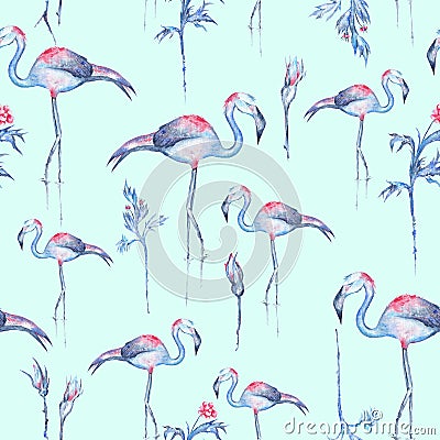 Turquoise Flamingo Pattern Stock Photo