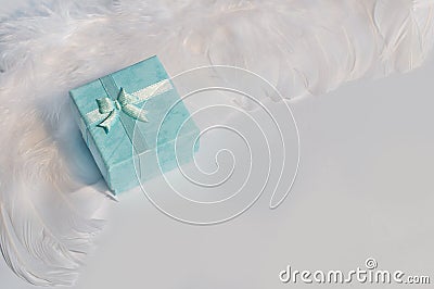 Turquoise gift box on white angel feather wings Stock Photo