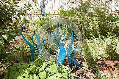 Turquoise Marlins and Floats by artist Dale Chihulyat Kew Gardens. Editorial Stock Photo