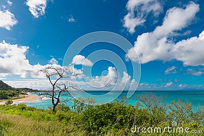 Turquoise ocean and green shrubs at a viewpoint on the coastline of the Caribbean island Antigua Stock Photo