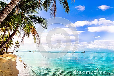 Turquoise palm beach by Phu quoc island in Vietnam Stock Photo