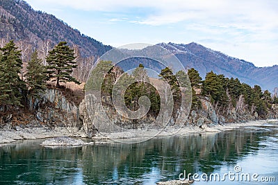 Turquoise river Katun in mountainous Altai, with rocky shores and mountain taiga with blue sky in the background Stock Photo