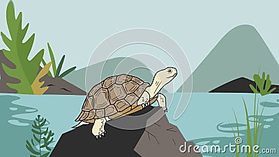 Turtle against an isolated background, showcasing its detailed shell and gentle demeanor in a simple, minimalistic environmen... Vector Illustration