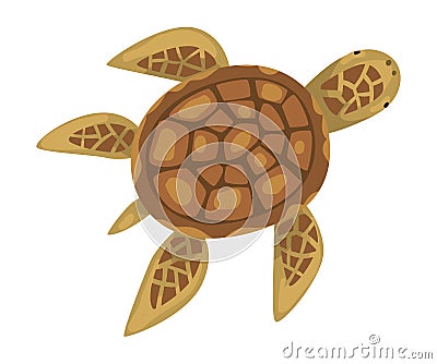 Turtle Animal, Marine Life Element, Sea or Ocean Creature Vector Illustration Vector Illustration