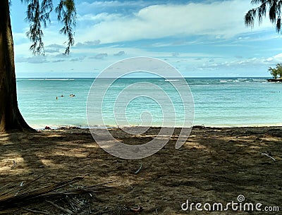 Turtle Beach, Hawaii Stock Photo