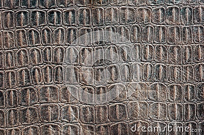 Turtle carapace pattern Stock Photo