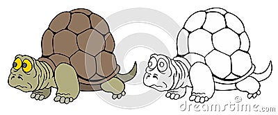 Turtle Stock Photo