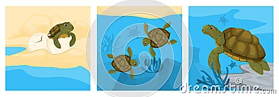 Turtle Cycle Design Concept Vector Illustration