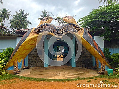 Turtle farm in Hikkaduwa Stock Photo