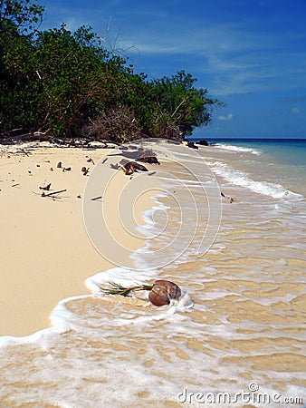 Turtle Island. Sulu Sea Stock Photo