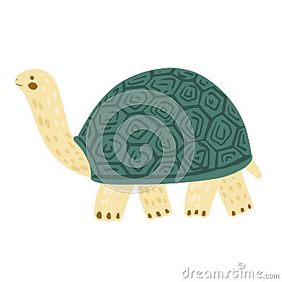 Turtle isolated on white background. Cute cartoon character tortoise Cartoon Illustration