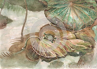 Turtle and lotus leaves watercolor painting Stock Photo