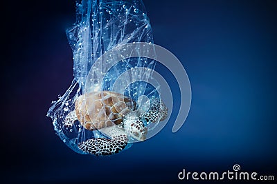 Turtle in plastic bag in ocean. Platic pollution problem. World oceans day concept. Environment concept. Stock Photo