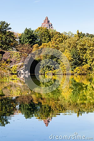 Turtle Pond Reflections Stock Photo