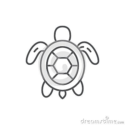 Turtle sea and ocean wildlife or aquarium marine animal editable outline icon. Vector Illustration