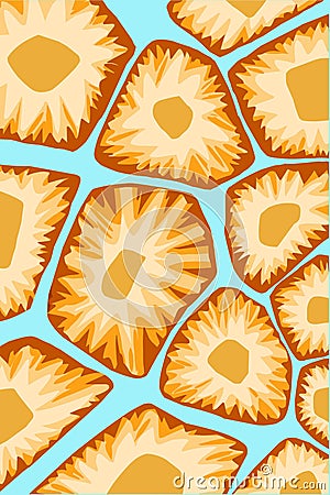 Turtle shell pattern on a blue background. Pineaple slice Vector Illustration