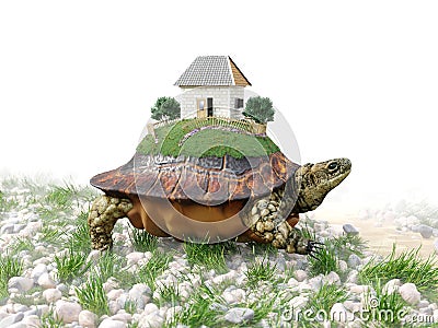 Turtle with toy house from paper real estate business concept Stock Photo