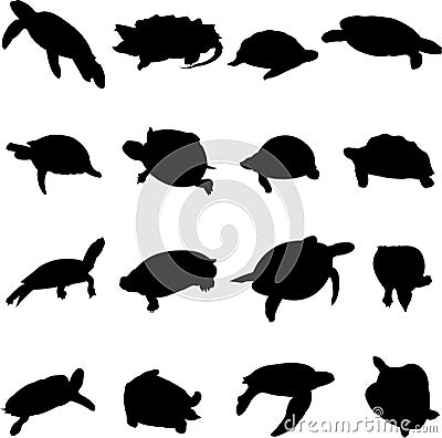 Turtle is a very slow crawling of animal Vector Illustration
