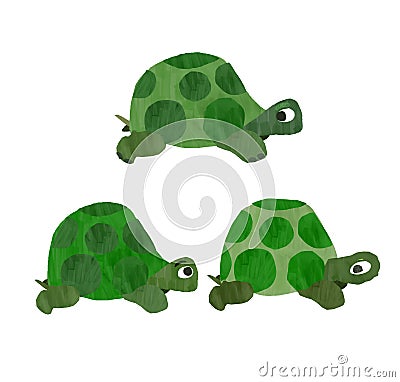 Turtles Stock Photo