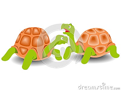 Turtles imagines creatures Stock Photo