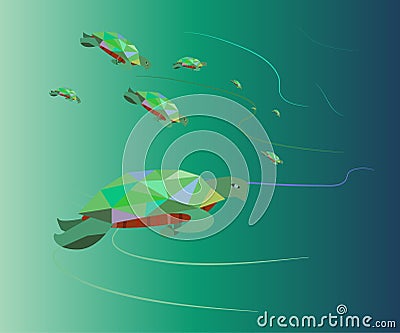 Turtles Vector Illustration