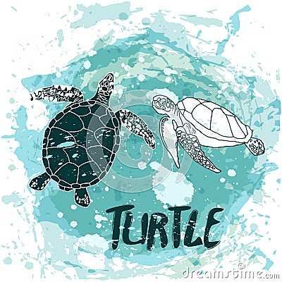 Turtles swim in the ocean Cartoon Illustration