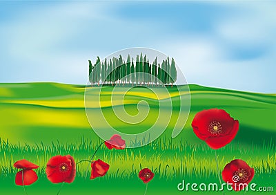 Tuscan countryside Vector Illustration