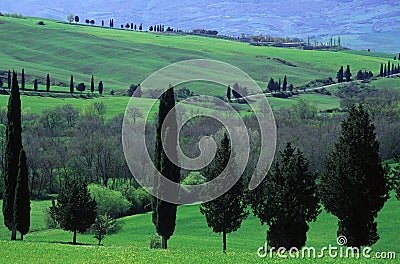 Tuscan countryside Stock Photo
