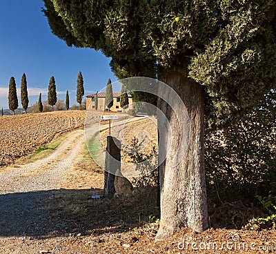 Tuscan countryside near Pienza, Tuscany, Italy Stock Photo