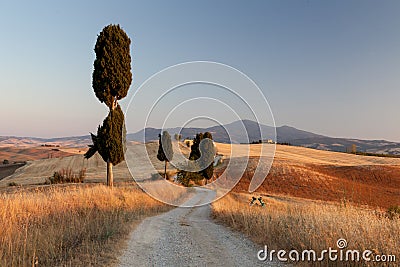 Tuscan countryside at sunset, Italy Stock Photo