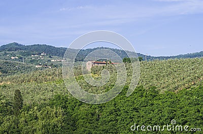 Tuscan countryside with vineyards, olive trees, woods, farms and town Stock Photo