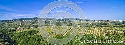 Tuscan countryside with vineyards, olive trees, woods, farms and town Stock Photo