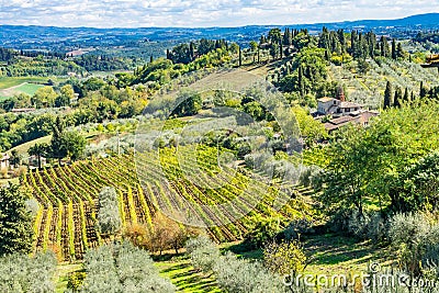 Tuscan Farm Vineyard San Gimignano Tuscany Italy Stock Photo