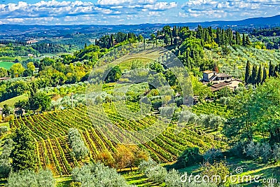 Tuscan Farm Vineyard San Gimignano Tuscany Italy Stock Photo