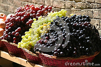 Tuscan Grapes Stock Photo