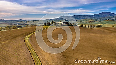 Tuscan hill with Cypress Stock Photo